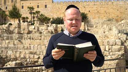 Jerusalem City of Gold: Tour the Bible with Nosson Shulman